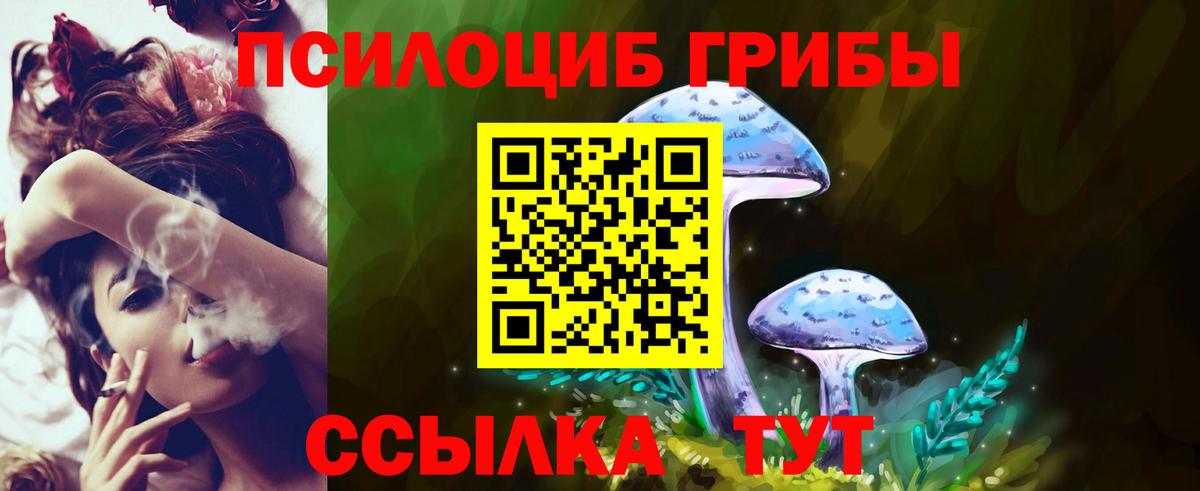Галлюциногенные грибы Psilocybe Ачинск