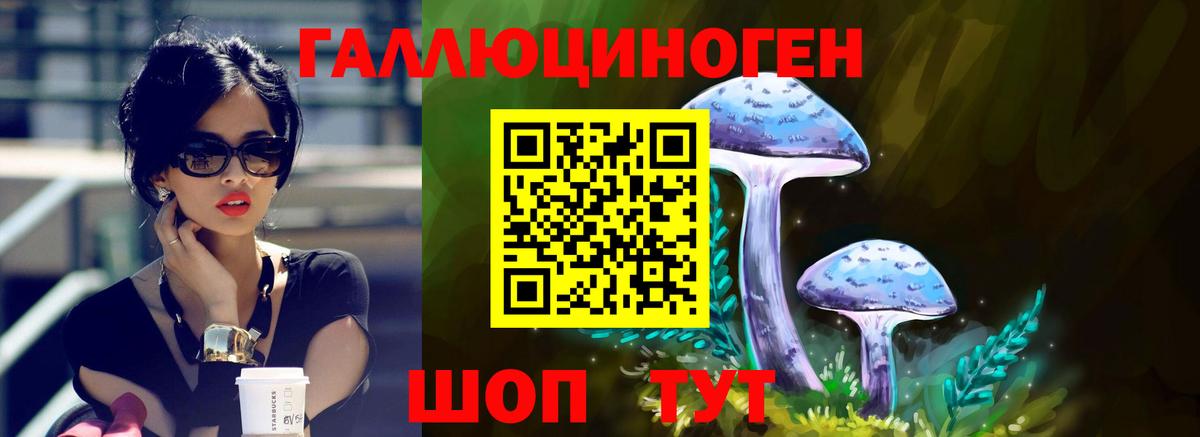 Псилоцибиновые грибы Psilocybine cubensis  Вход с VPN  Ачинск 